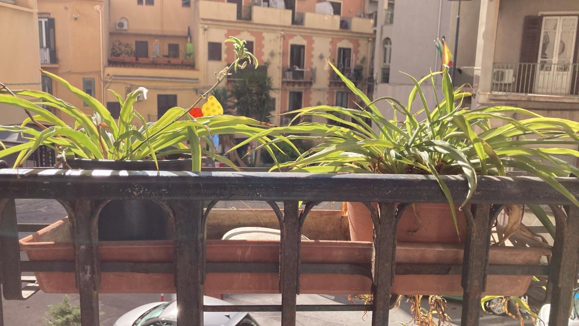 Casa Empedocle Apartman Palermo Kültér fotó